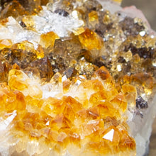 Load image into Gallery viewer, Citrine Crystal Bed 547g
