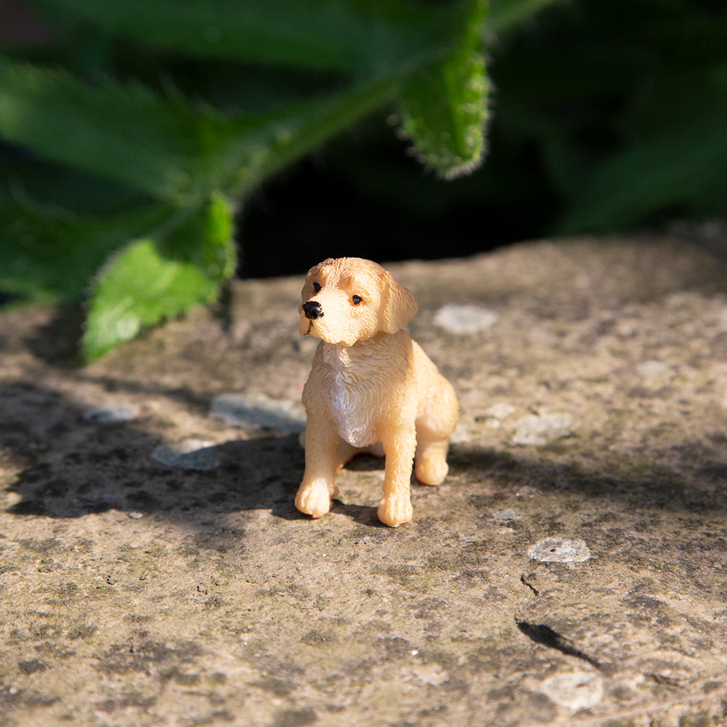 Golden Dog - Miniature World