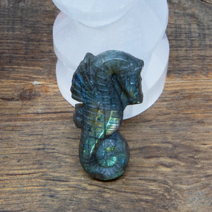 Labradorite Seahorse B