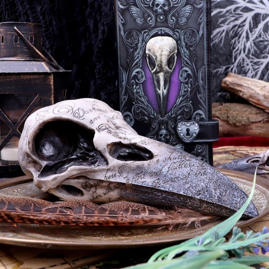 Edgar Allen Poe Raven Skull