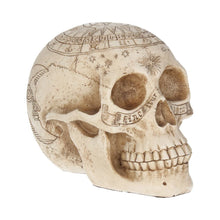 Load image into Gallery viewer, Astrological Skull 20cm
