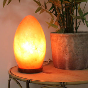 Himalayan Salt Electric Lamp - Egg Shape - COLLECTION ONLY DUE TO WEIGHT