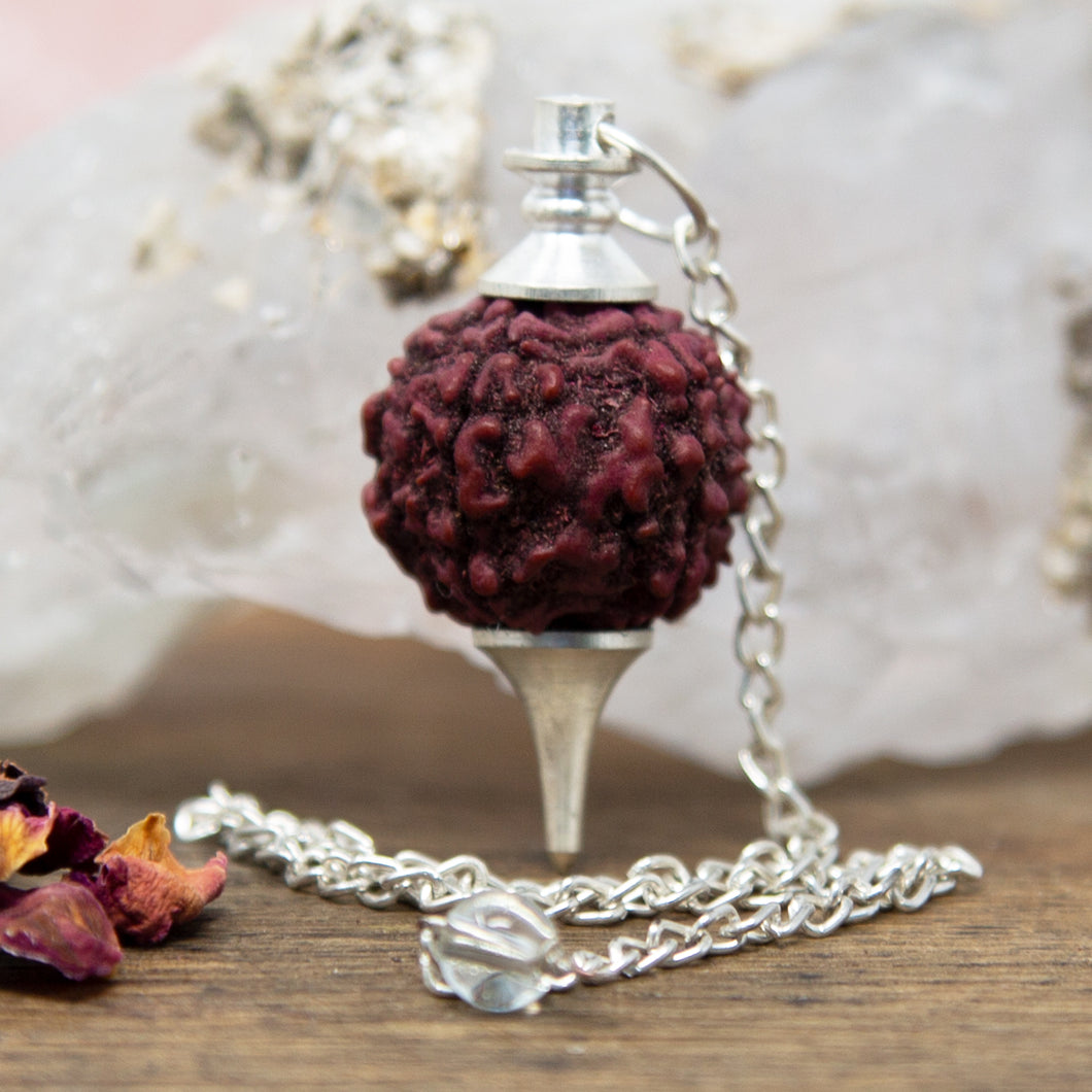 Rudraksha Seed Pendulum