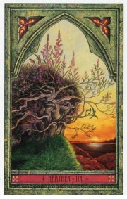 The Spirit of Nature Oracle