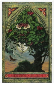 The Spirit of Nature Oracle